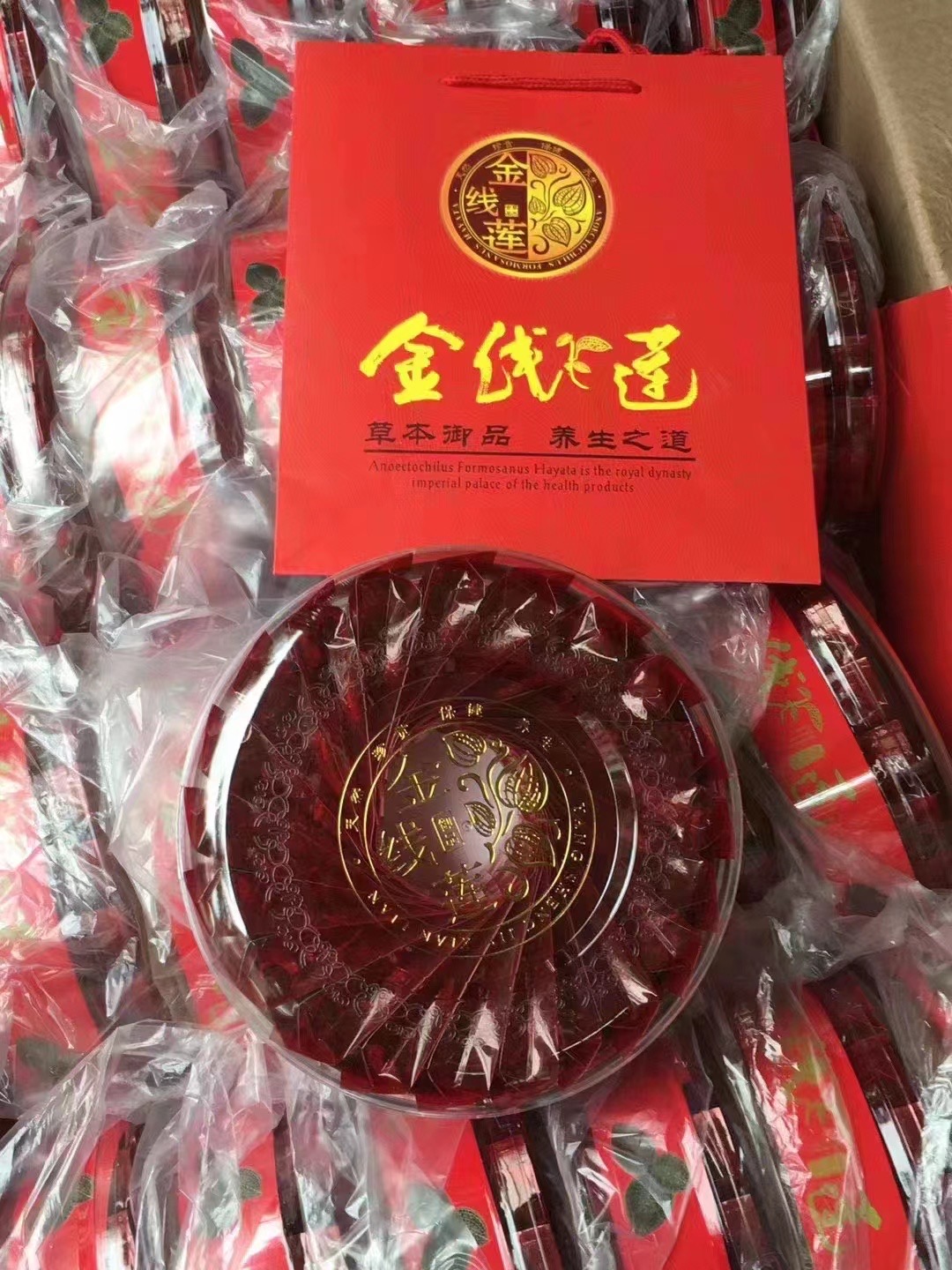 今天货源 大量盒装金线莲 /