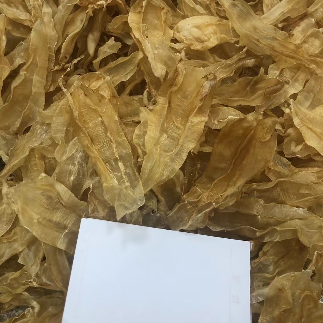 今天货源 北海扎开公 /