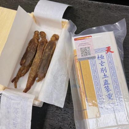 今天货源 大量简装37.5克高丽红参