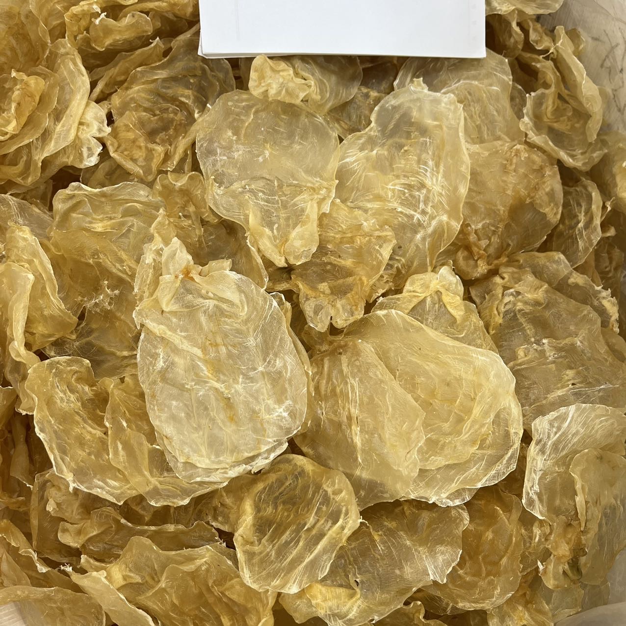 今天货源 大量越南蜘蛛片 甲肚 /