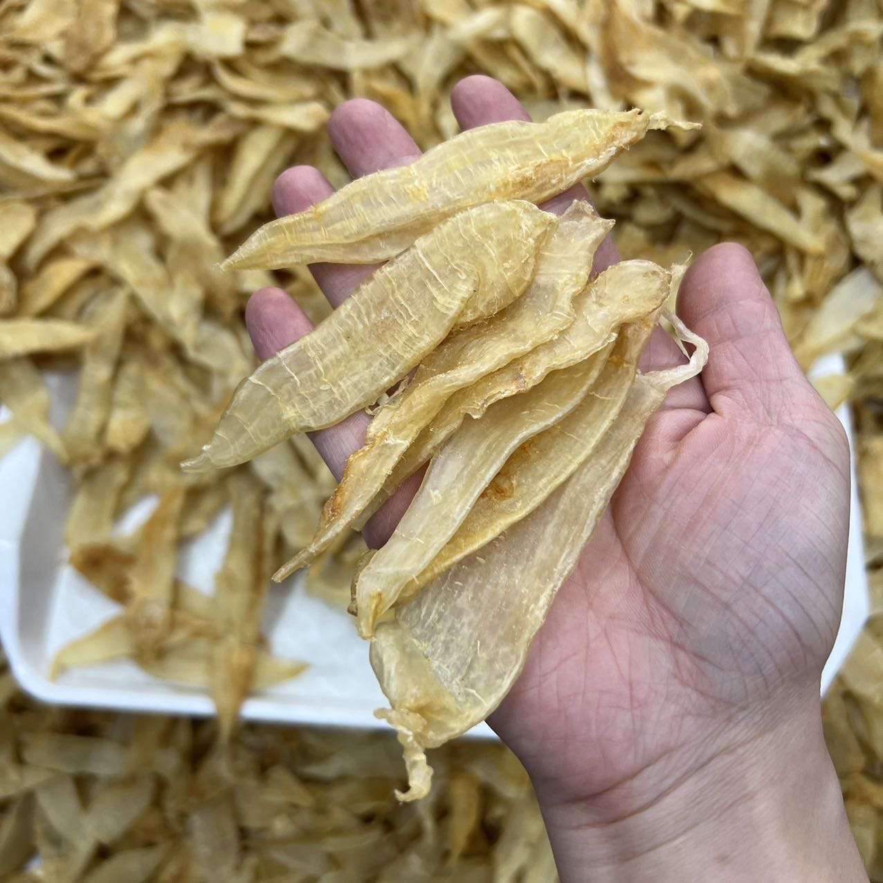 大量小金龙胶 清水足干老货 /