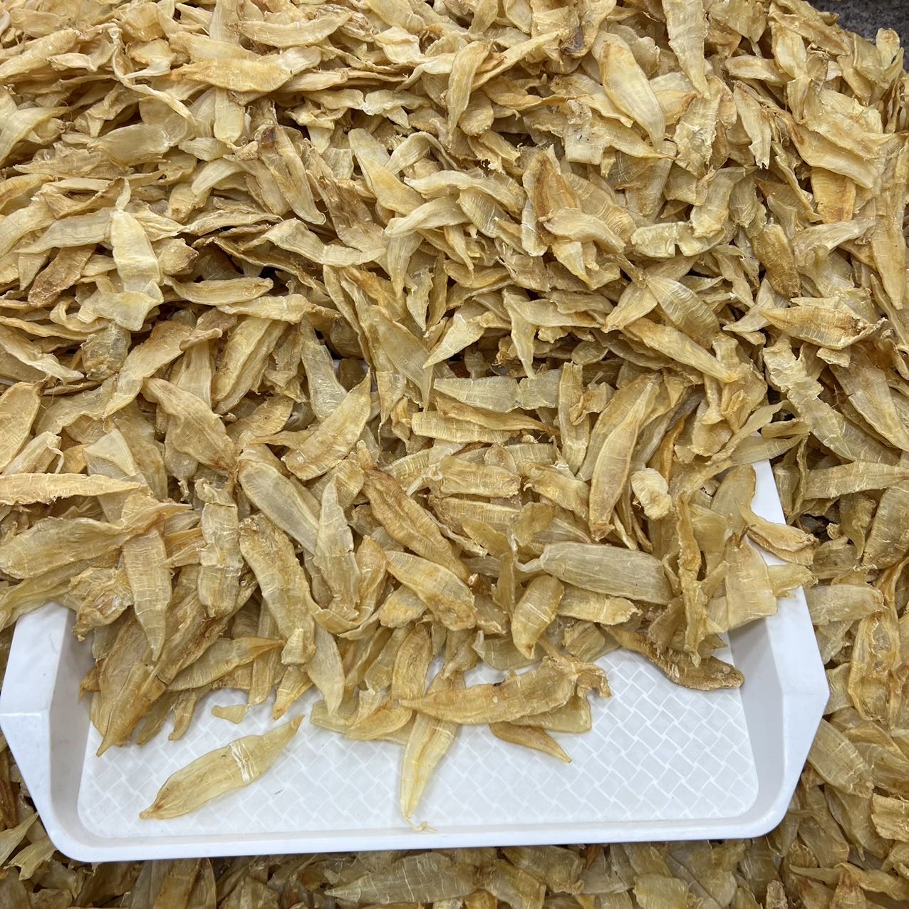 大量小金龙胶 清水足干老货 /