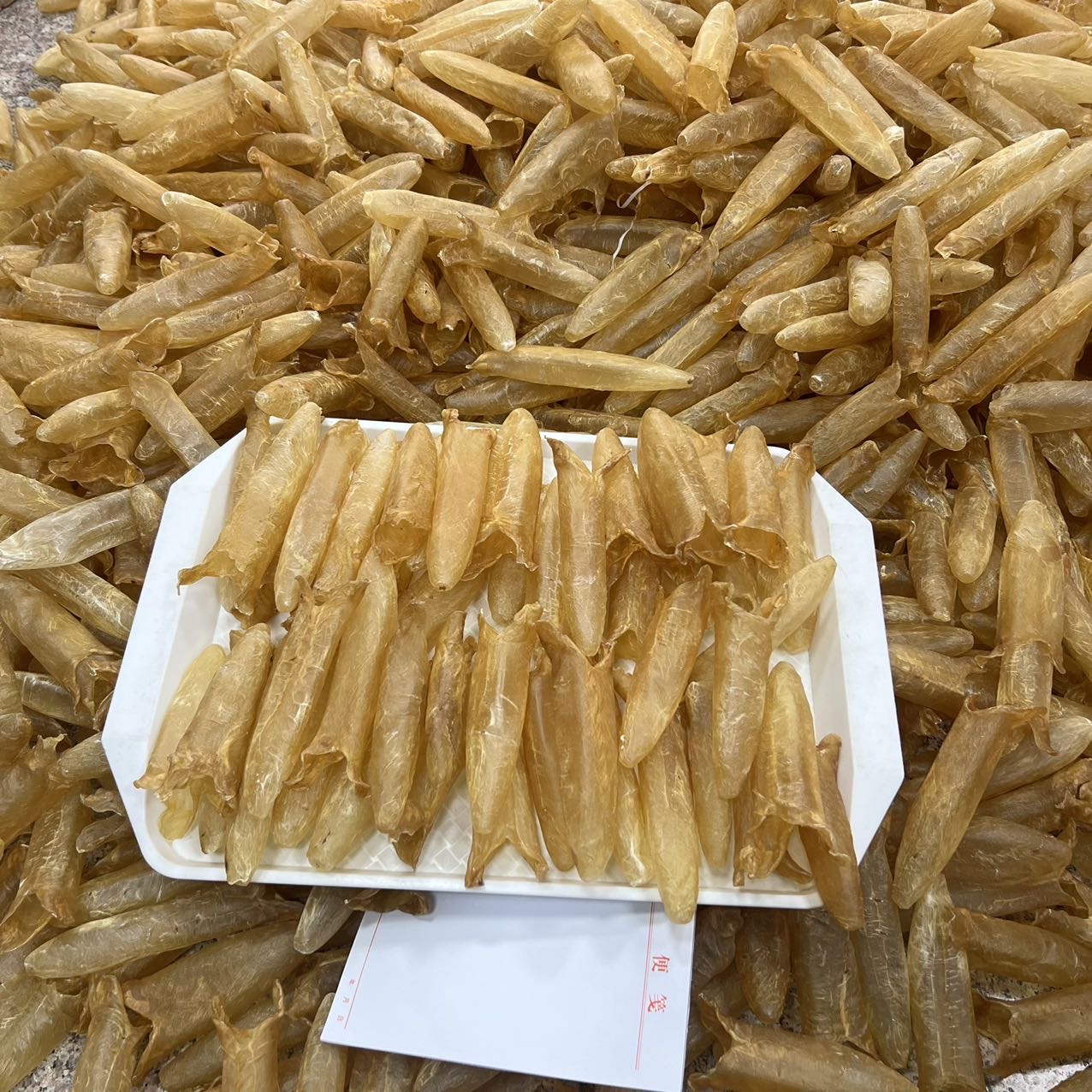 大量60头纯淡干黄花胶筒 /