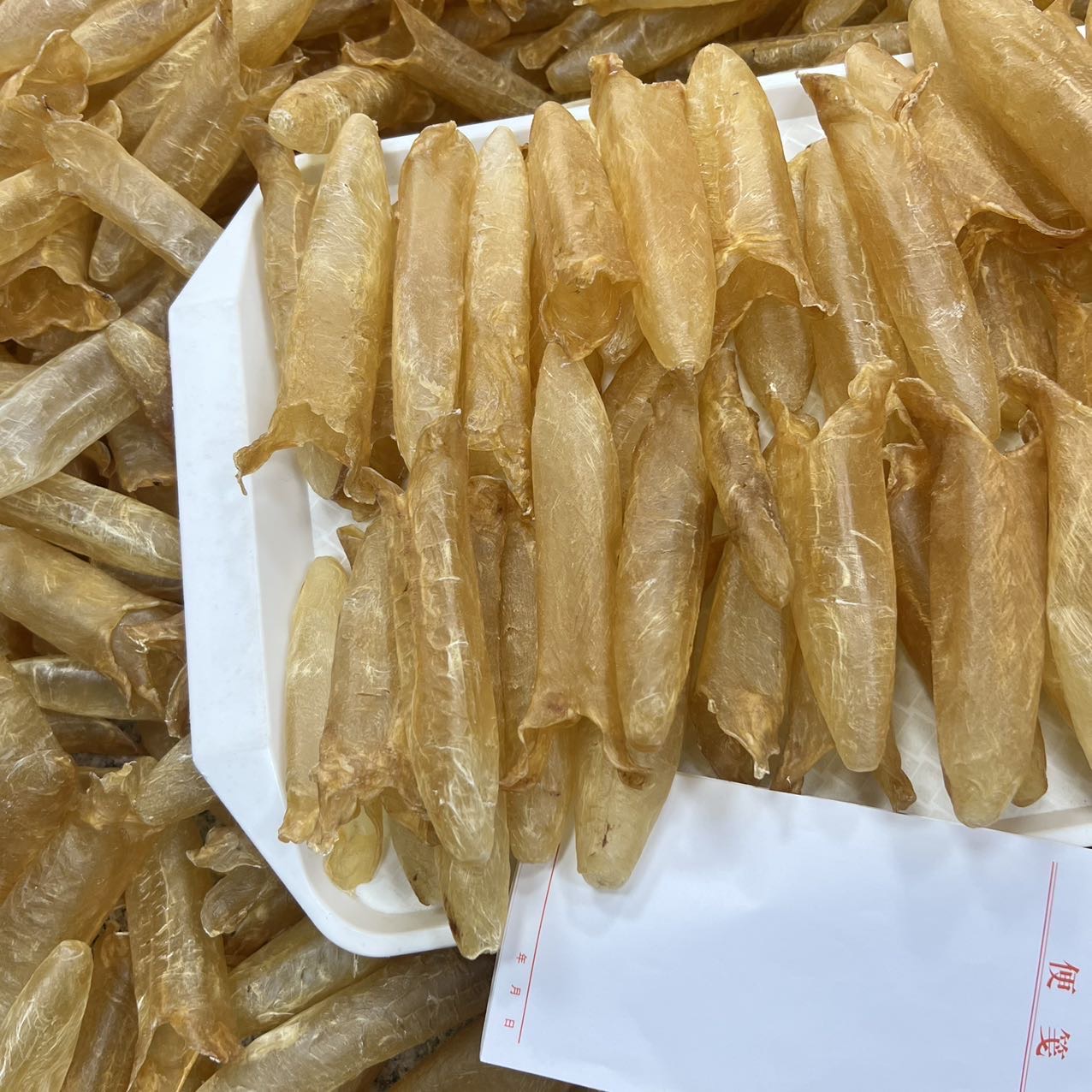大量60头纯淡干黄花胶筒 /