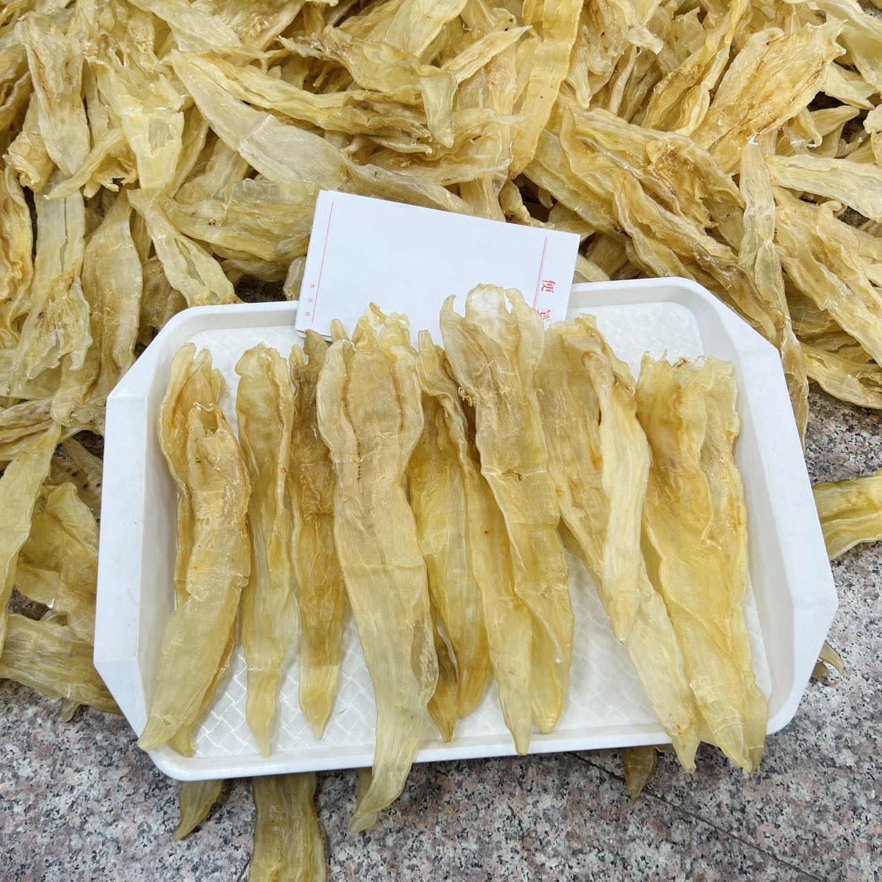 今天货源 大量13头巴西北海阴阳胶 足干货 /