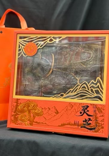 今天货源 大量灵芝礼盒 /