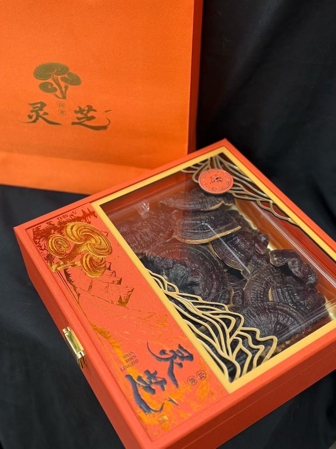 今天货源 大量灵芝礼盒 /