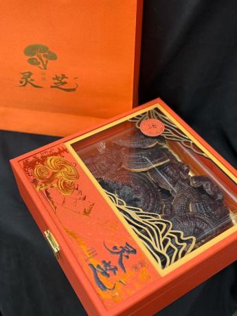 今天货源 大量灵芝礼盒