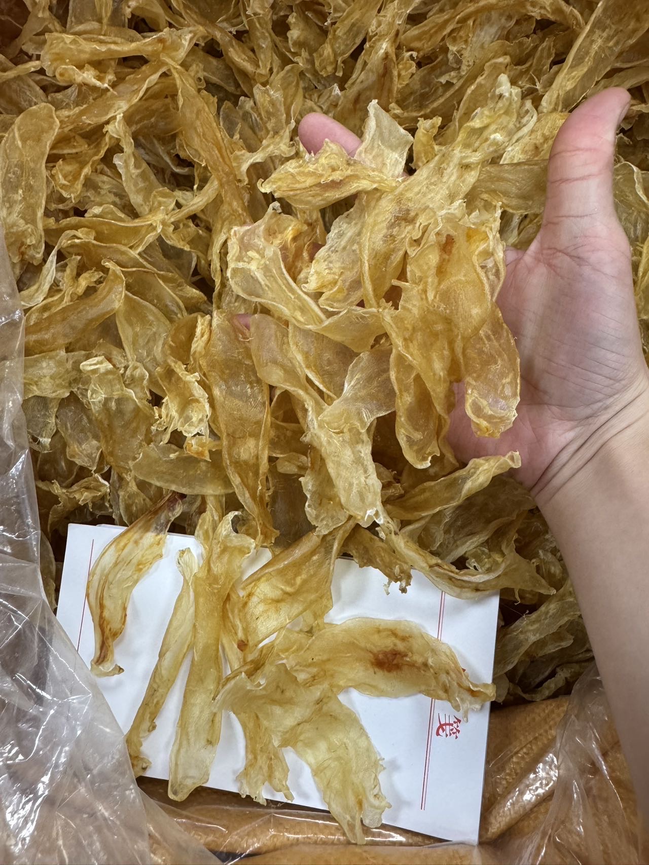 今天货源 大量230头佐罗胶 /