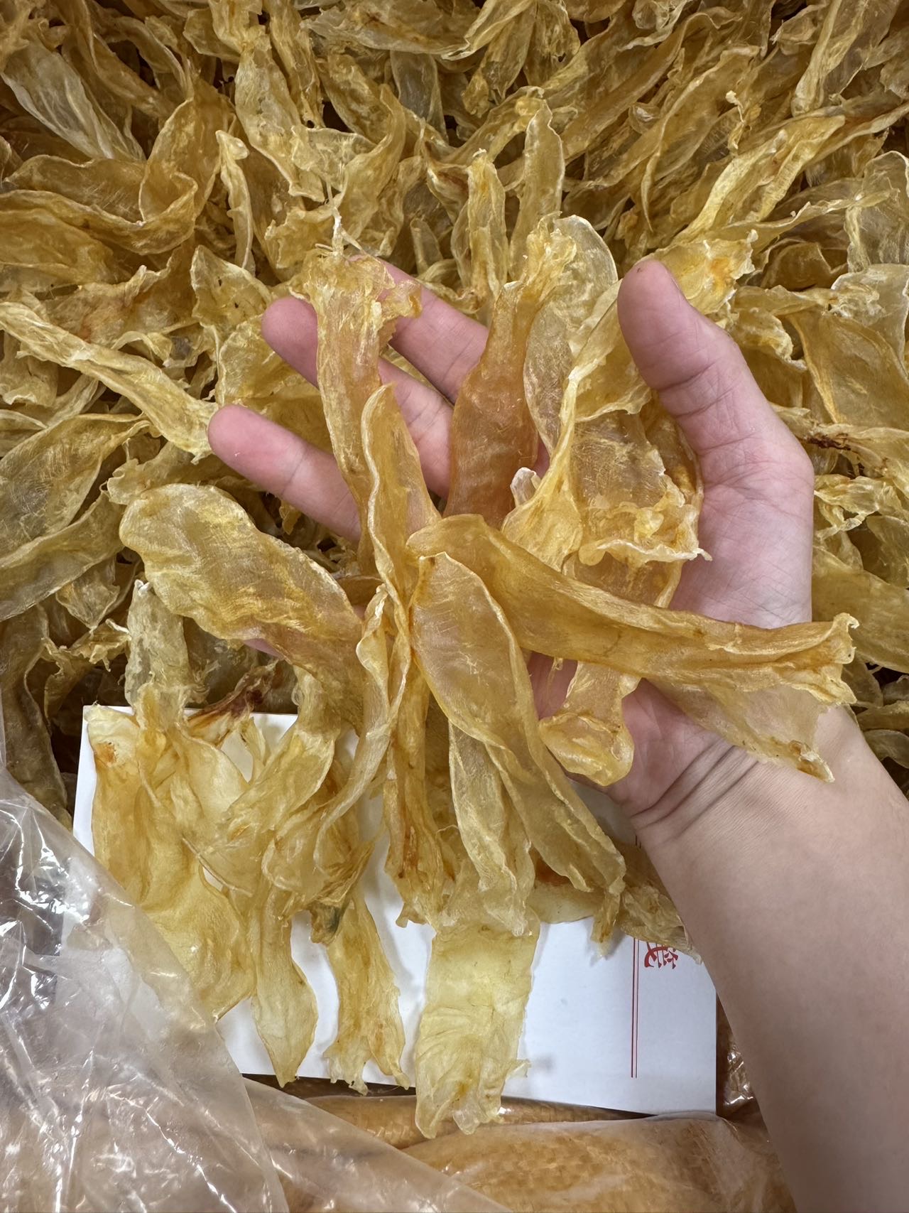 今天货源 大量230头佐罗胶 /
