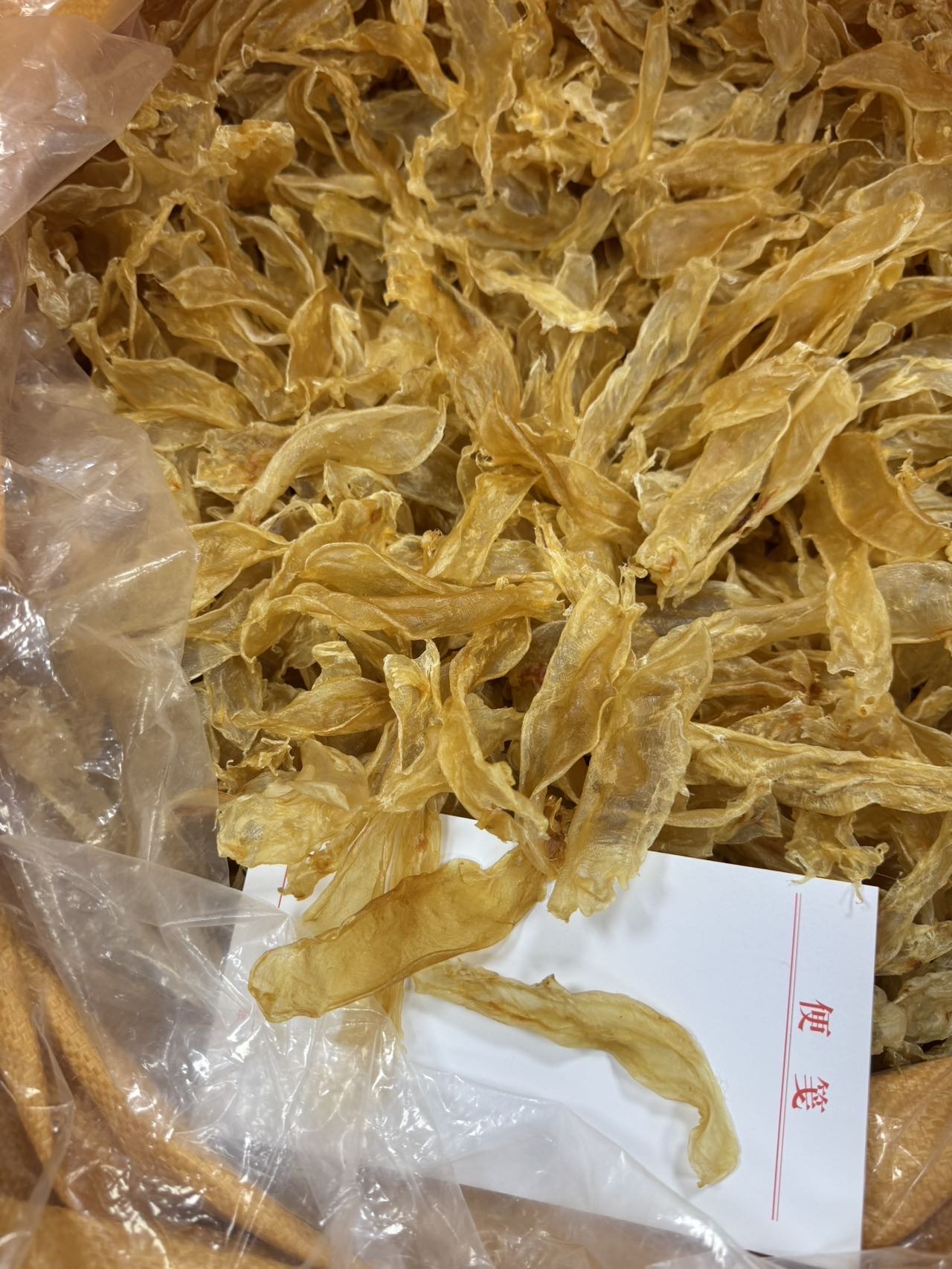 今天货源 大量230头佐罗胶 /