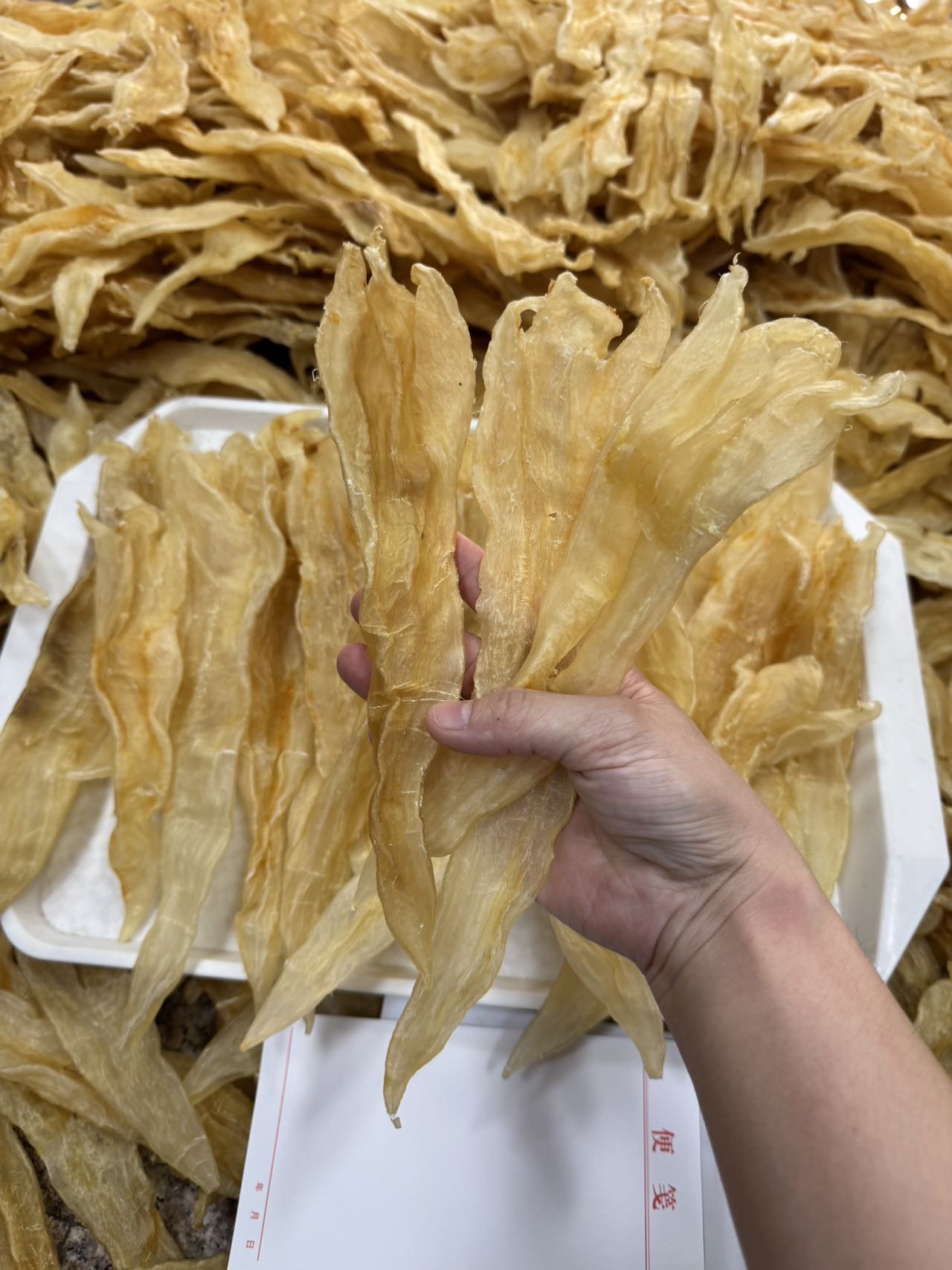 足干漂亮货阴阳胶 /