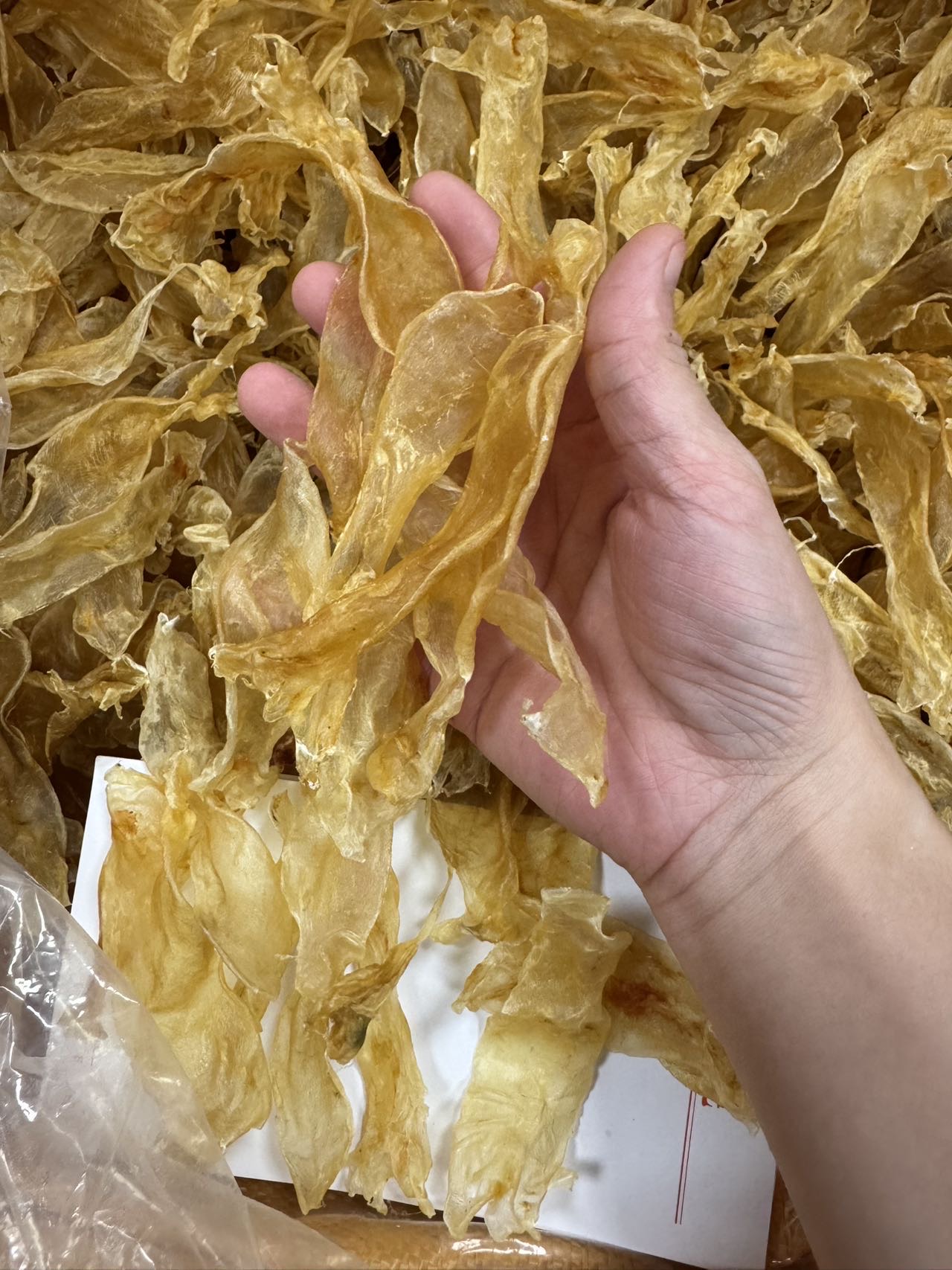今天货源 大量230头佐罗胶 /
