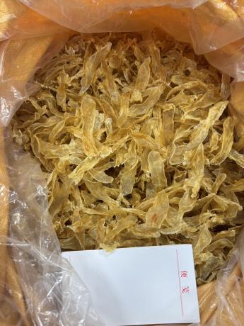 今天货源 大量230头佐罗胶