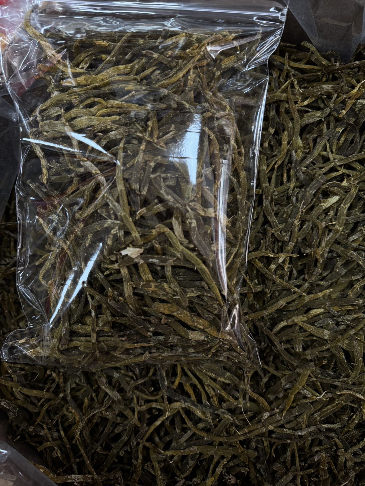 今天货源 大量特大珍虫石斛条 /