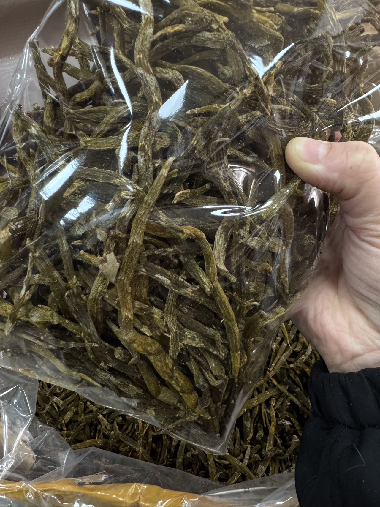 今天货源 大量特大珍虫石斛条 /