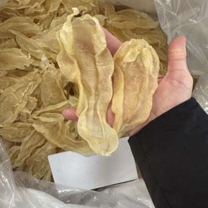 今天货源 新行情苏里北海公65头35头22头