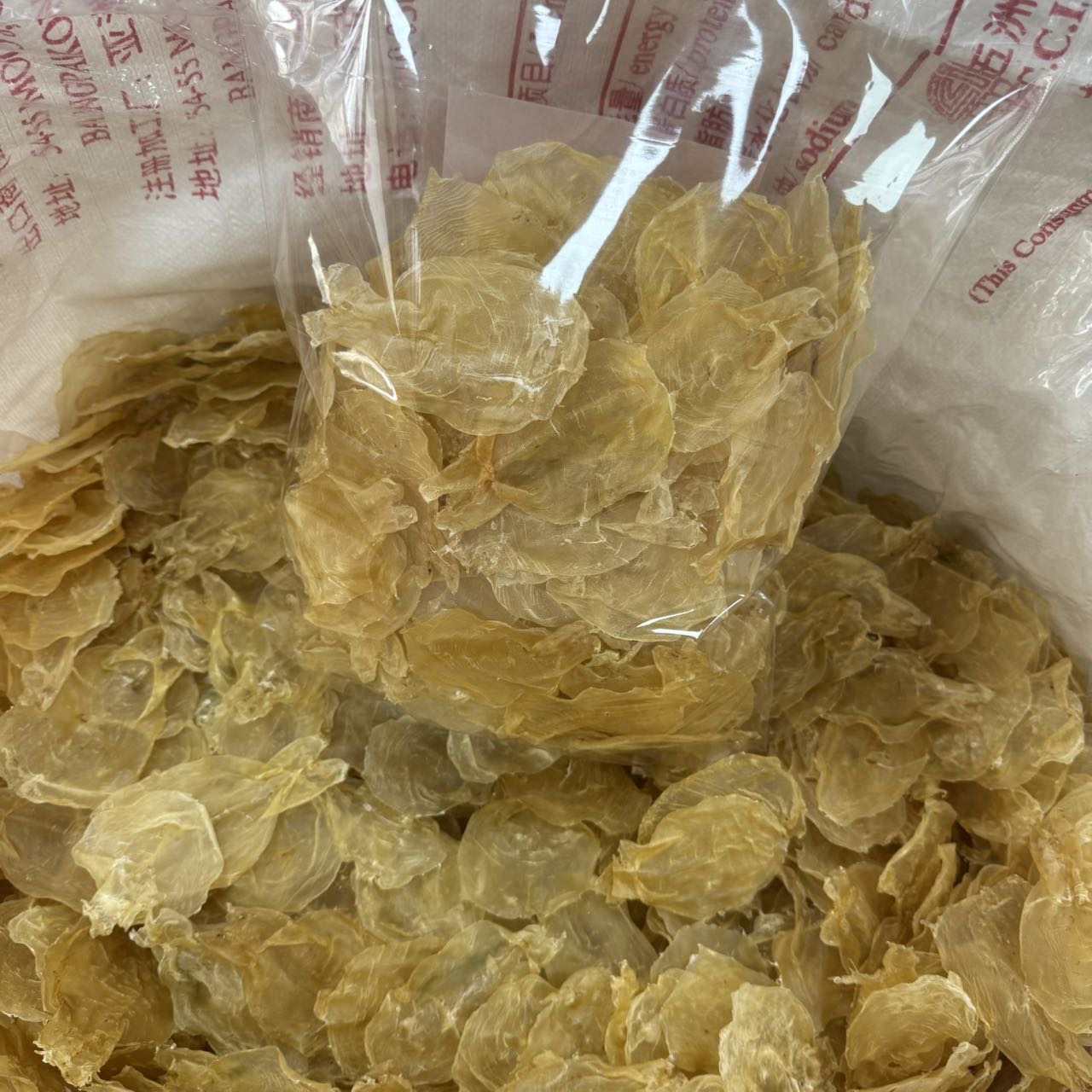 今天货源 大量150头蜘蛛片 /