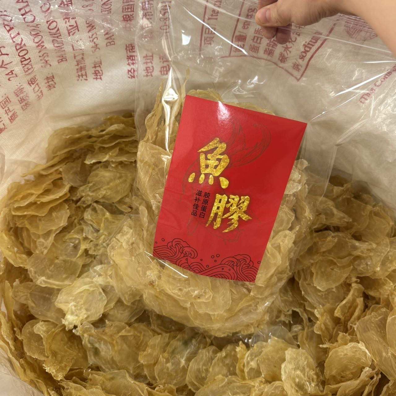 今天货源 大量150头蜘蛛片 /