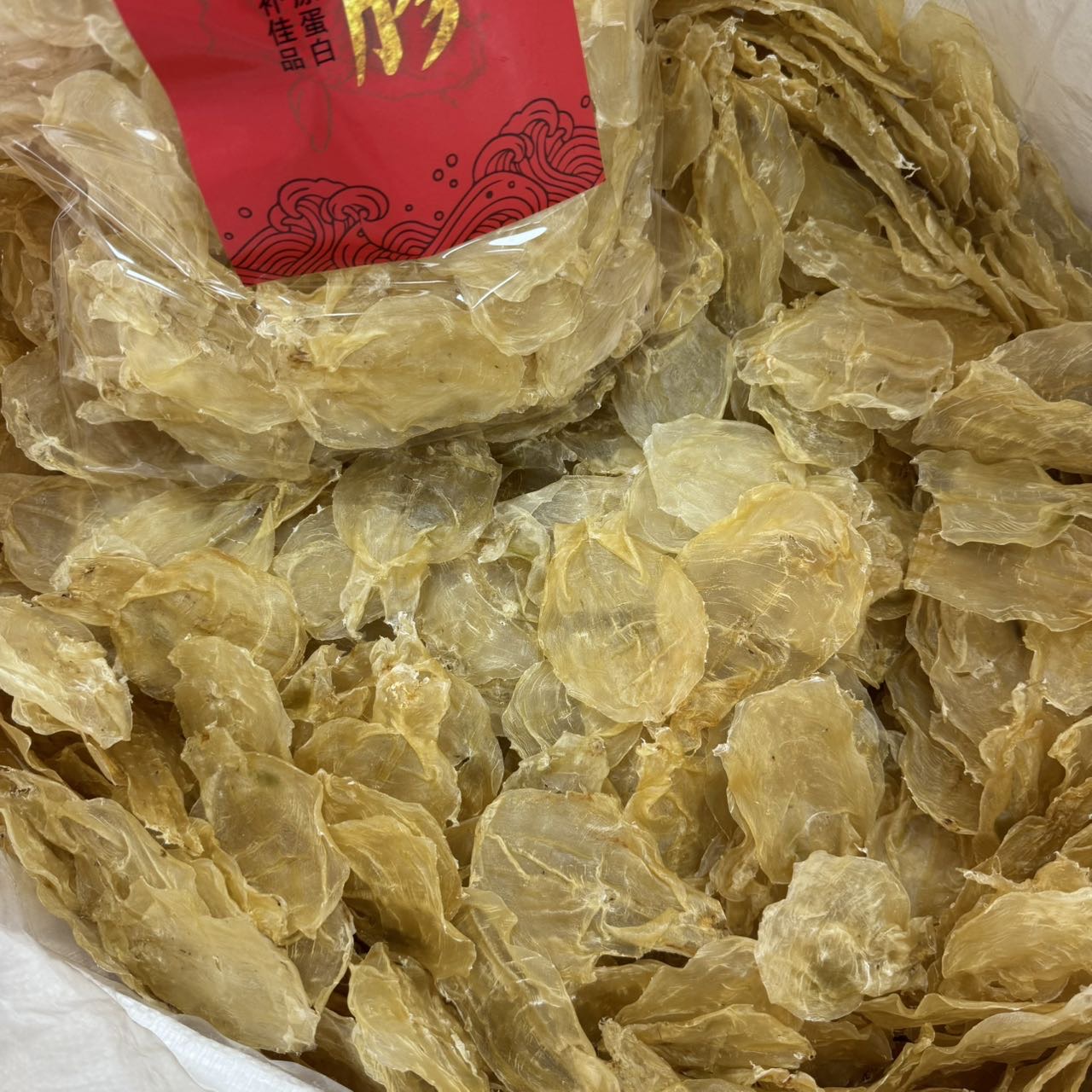 今天货源 大量150头蜘蛛片 /