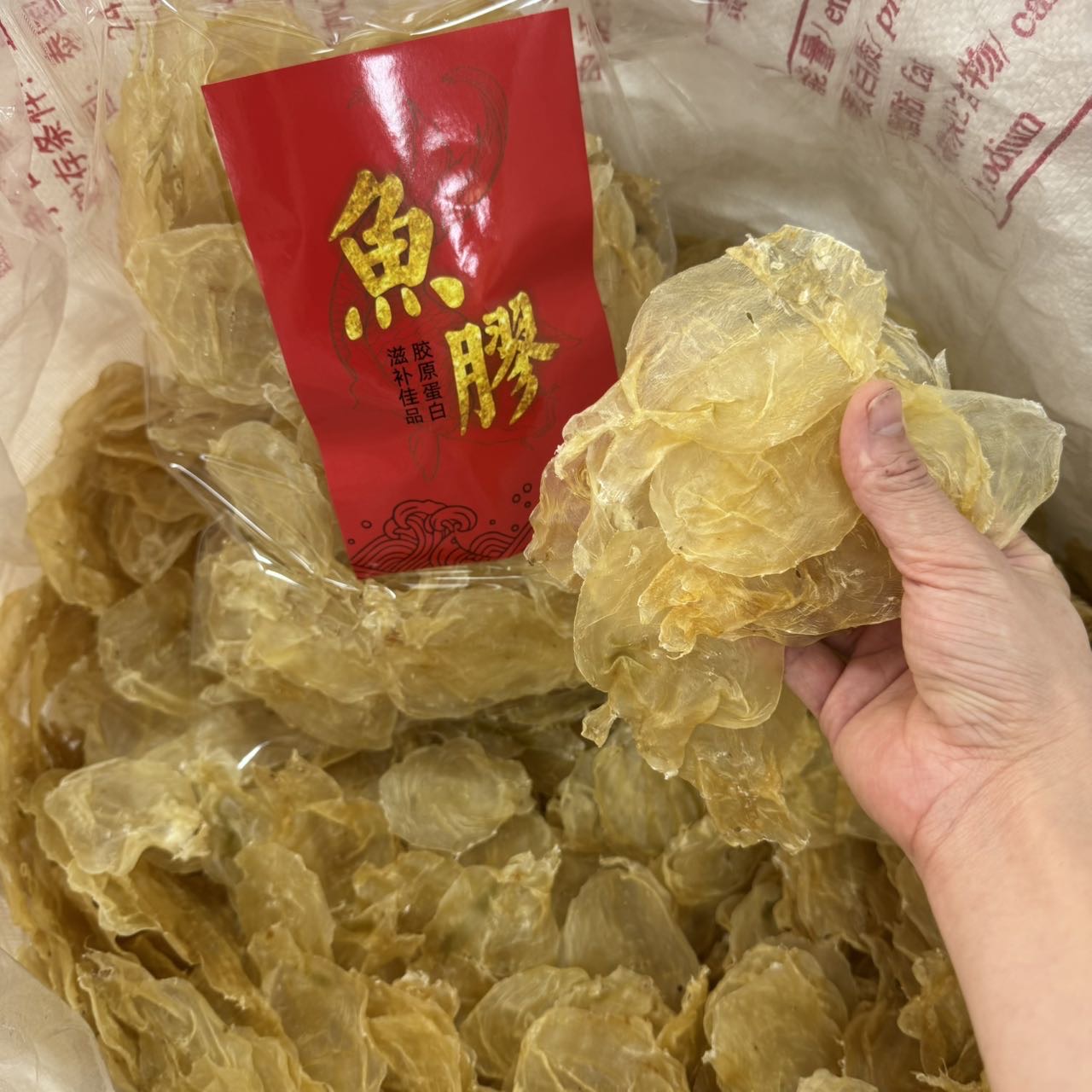 今天货源 大量150头蜘蛛片 /