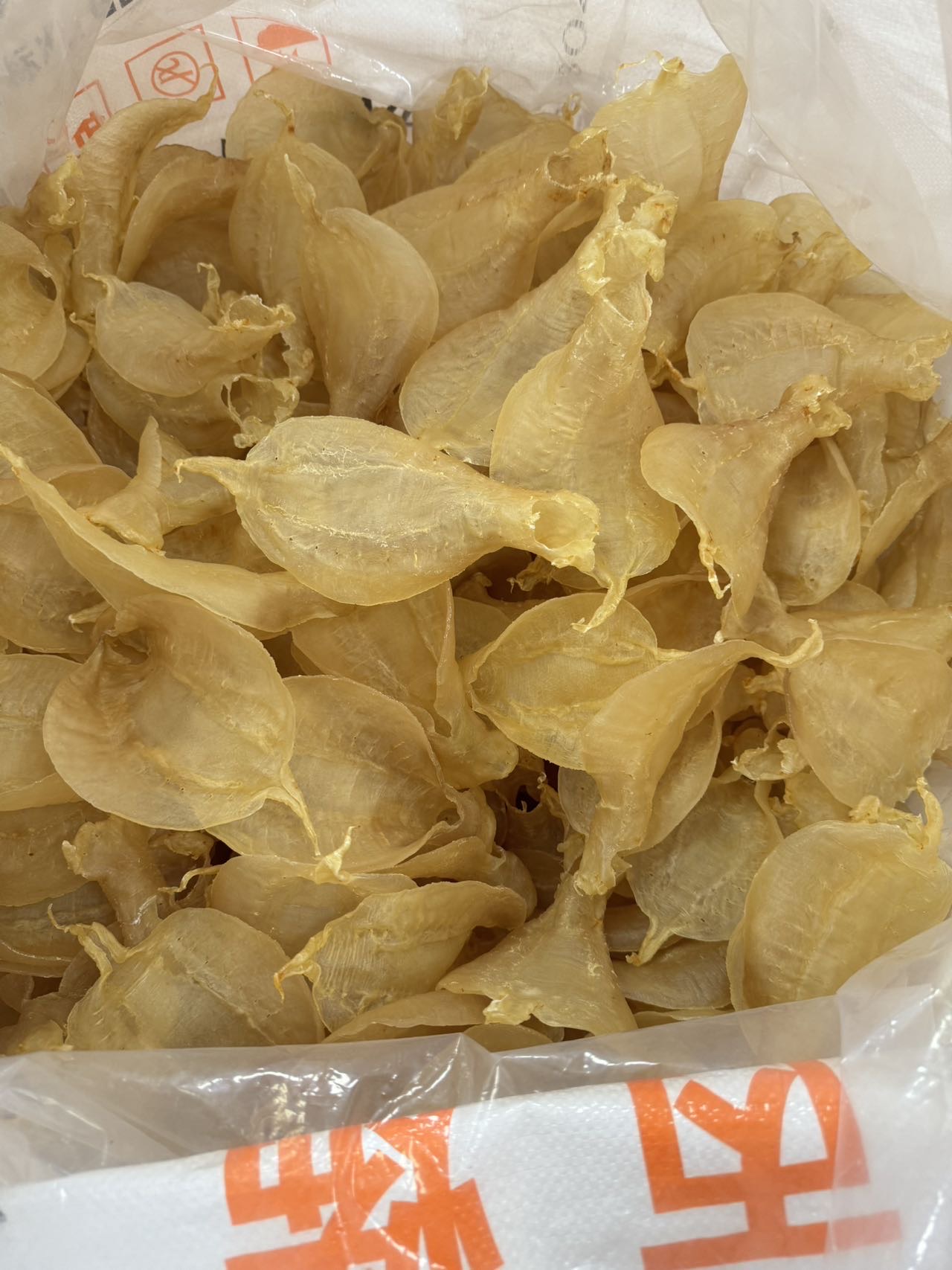 今天货源 大量金兰赤嘴公 /