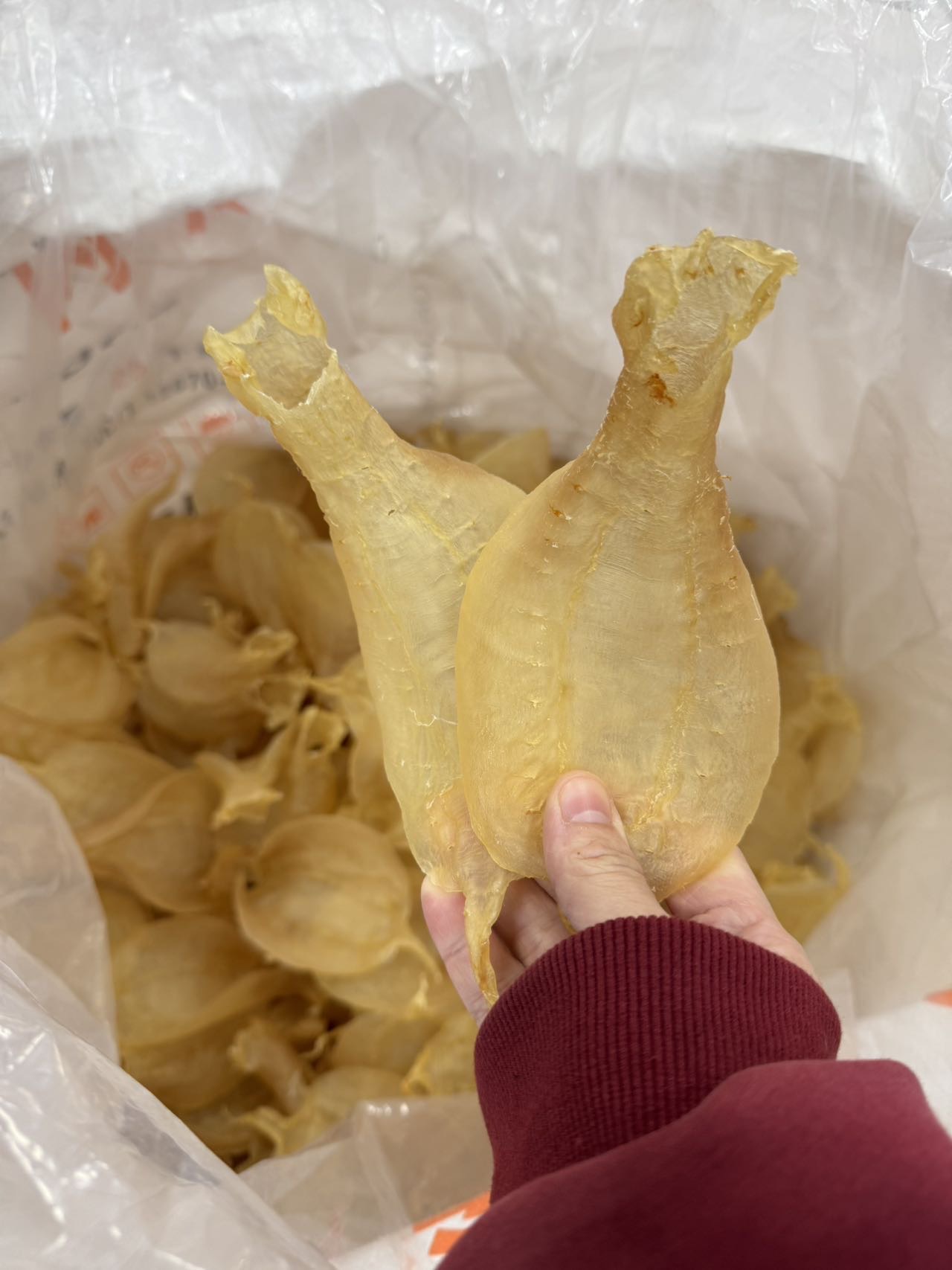 今天货源 大量金兰赤嘴公 /