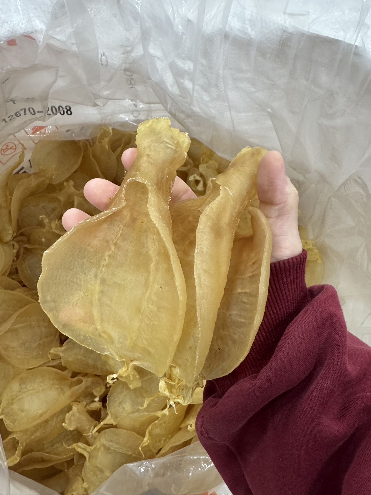 今天货源 大量金兰赤嘴公 /