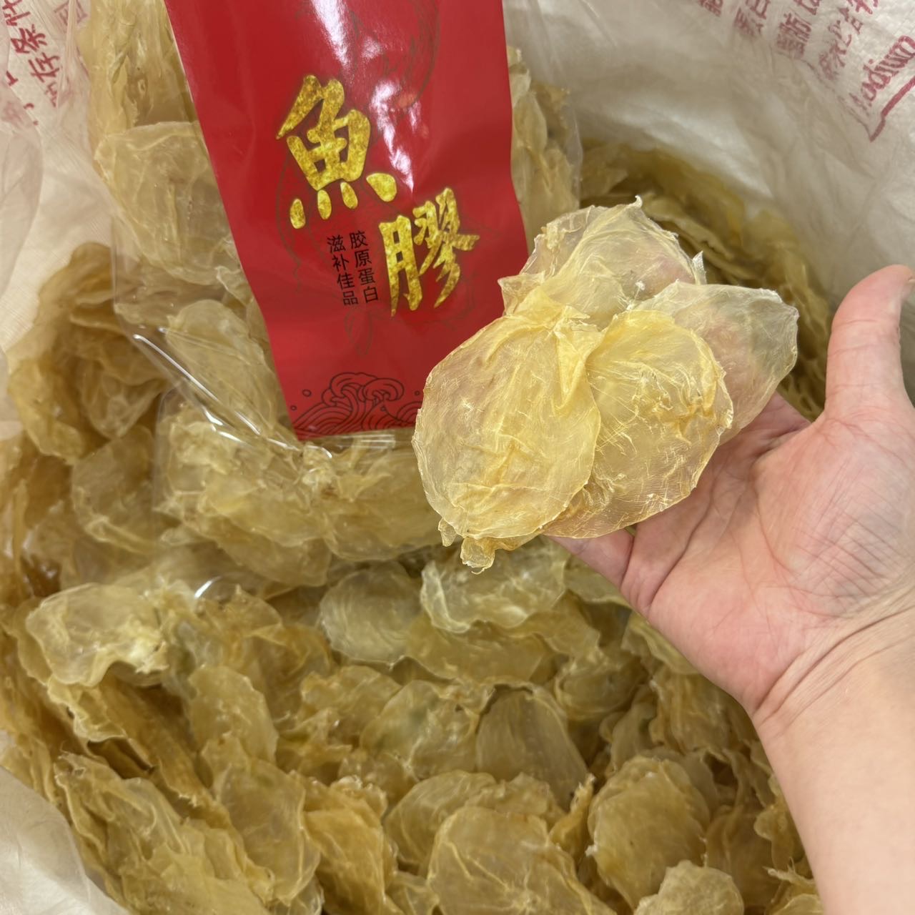 今天货源 大量150头蜘蛛片 /