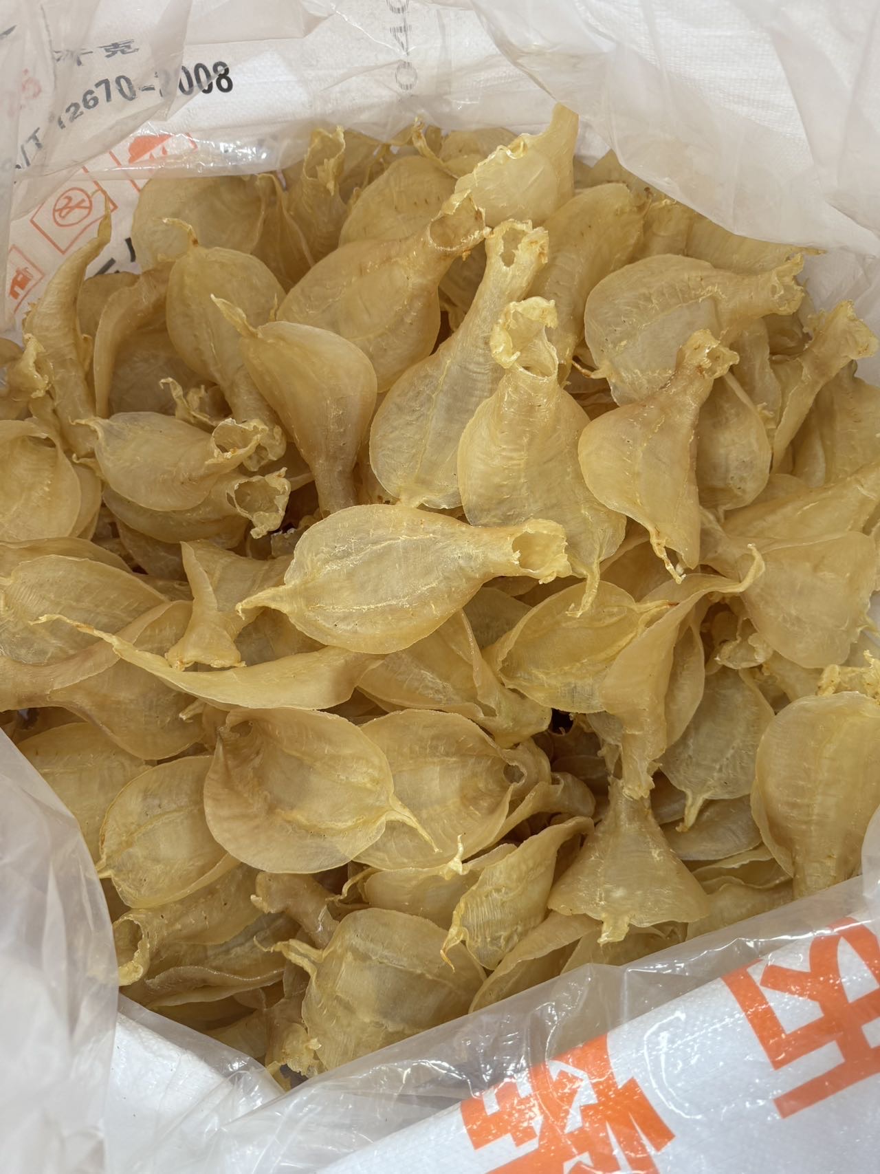 今天货源 大量金兰赤嘴公 /