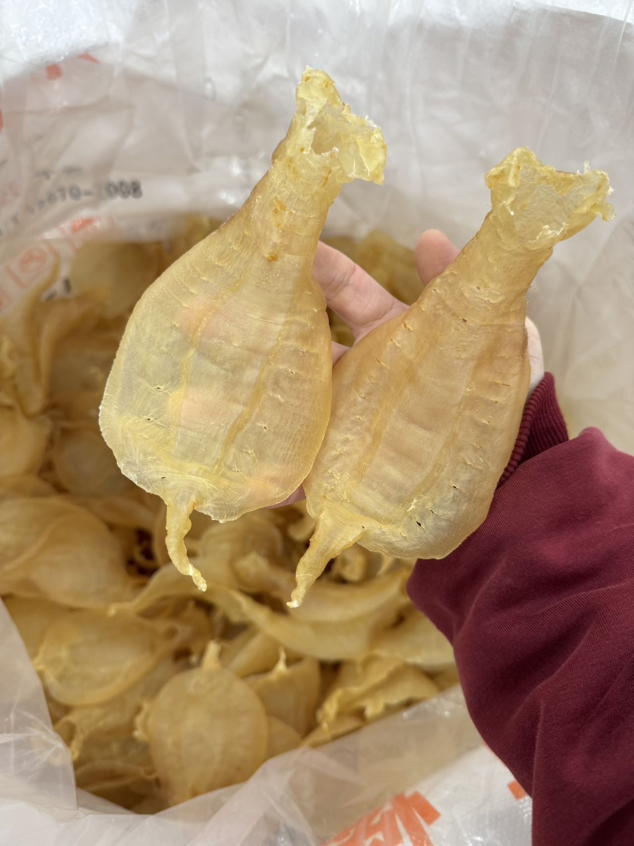 今天货源 大量金兰赤嘴公 /