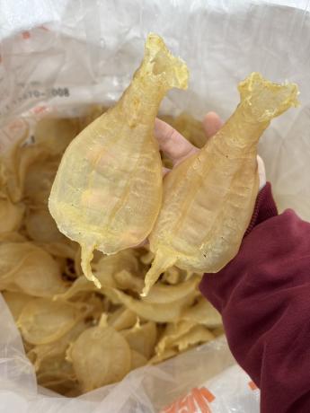 今天货源 大量金兰赤嘴公