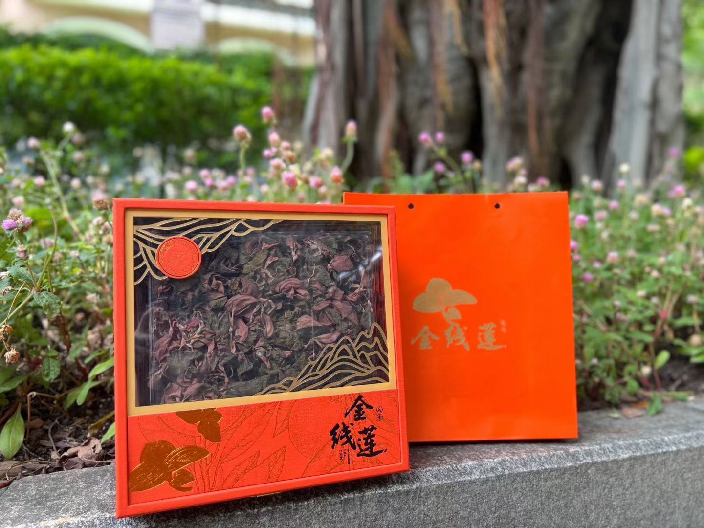 今天货源 大量整株台湾金线莲干货礼盒 /