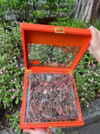 今天货源 大量整株台湾金线莲干货礼盒